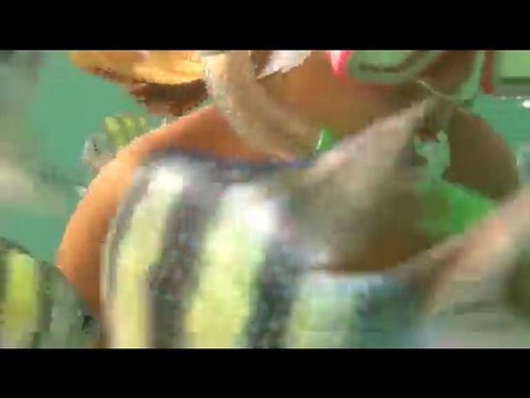 KO PHI PHI snorkeling