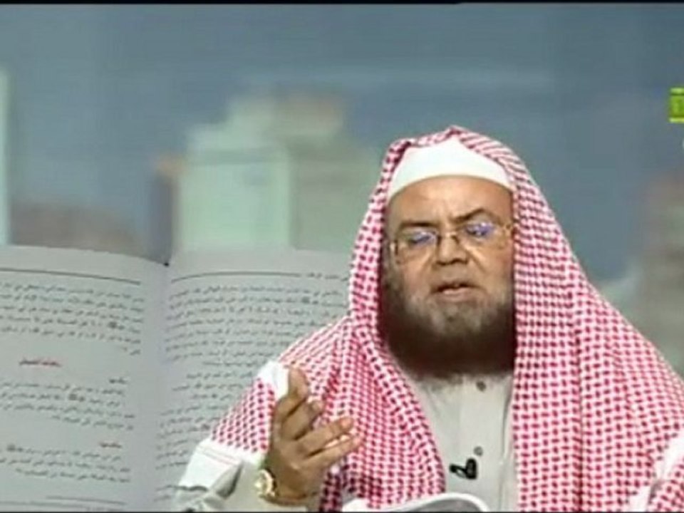 el wajiz 18