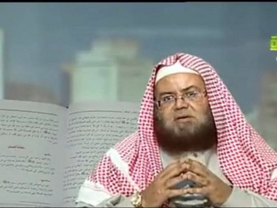 el wajiz 19