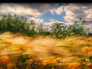 Coşkun Demir - Sevgi Kuşun Kanadında (2011)