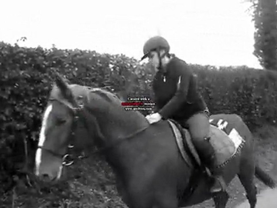 SDC19338