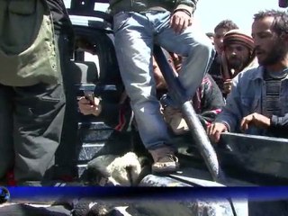 Libye: poursuite des combats près d'Ajdabiya