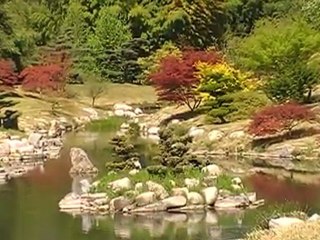 the bamboo forest and the valley of the dragon(remix)