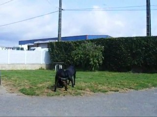 jeu véga éole le 10 04 2011