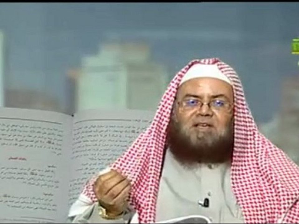 el wajiz 20