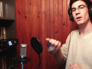 Libertivi.com - le Labo du Bruiteur - L'envol d'un oiseau