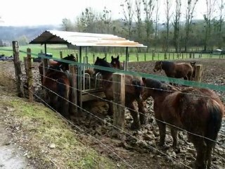 année 2011 - mois de février et de  mars - nº 12