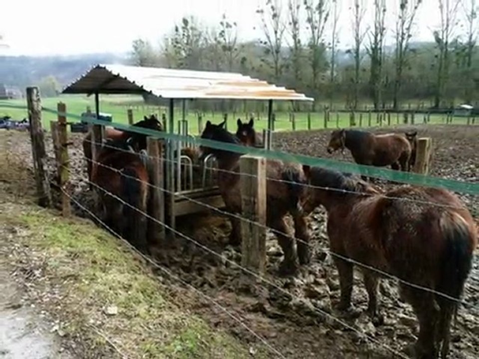 année 2011 - mois de février et de  mars - nº 12