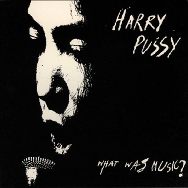 Harry Pussy - Pussy Control
