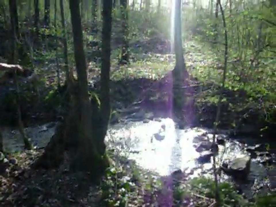 airsoft TAW Couvin- petard reussi!!!!!