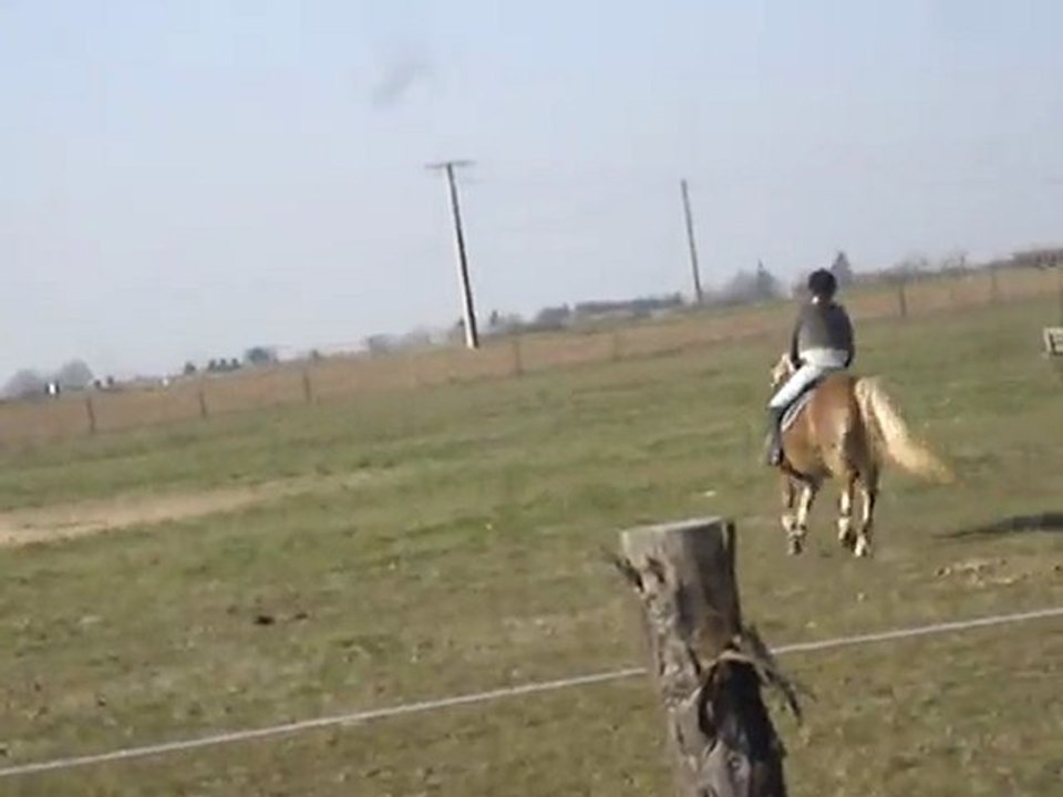 métrise des allures