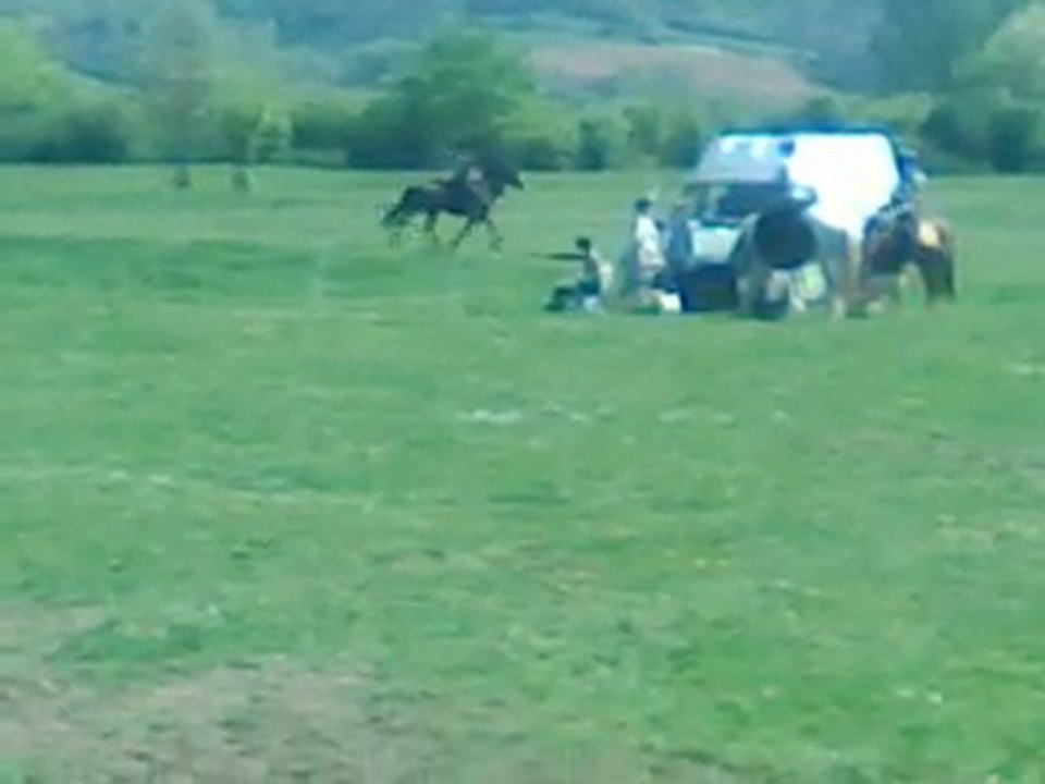 métrise des allures suite...