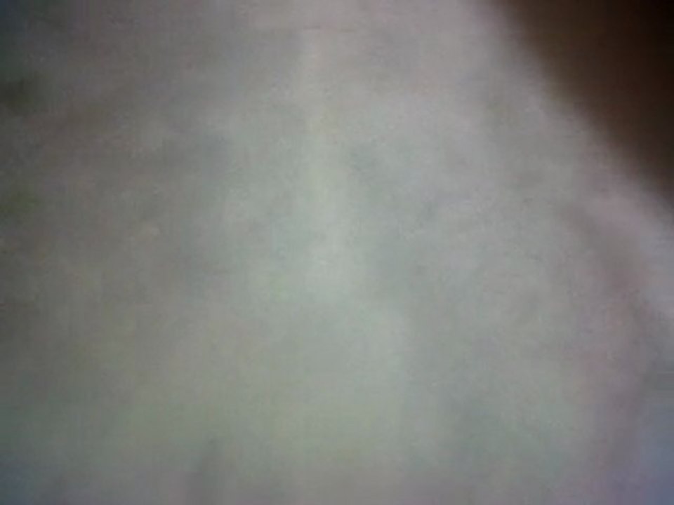 voisine