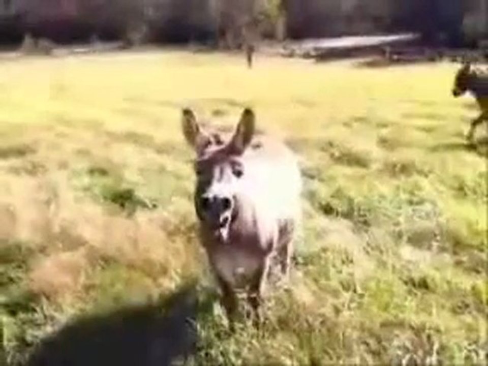 foukaha marocaine-www.fokaha2011.tk