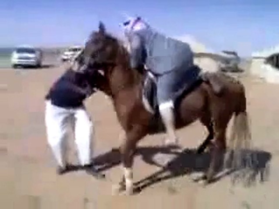 Funny Arab fokaha fadiha-www.fokaha2011.tk