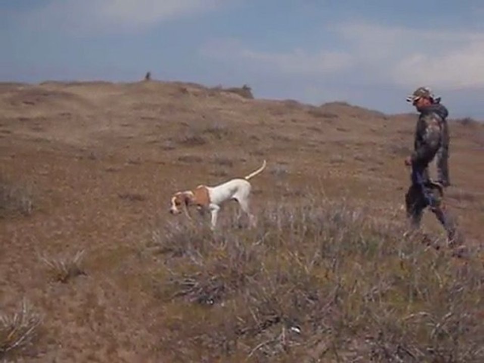 odie..yusuf boncuk..