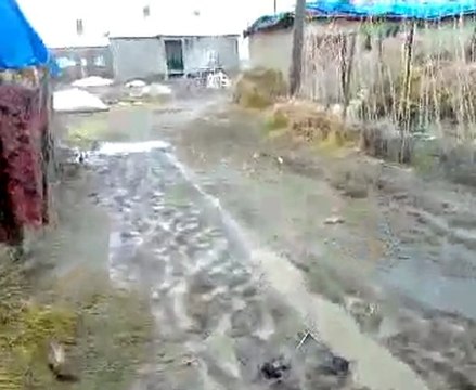 Hakkari Yüksekova Dilekli Köyü