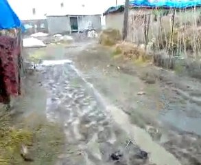 Hakkari Yüksekova Dilekli Köyü