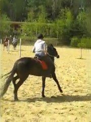 Ulys branches basses