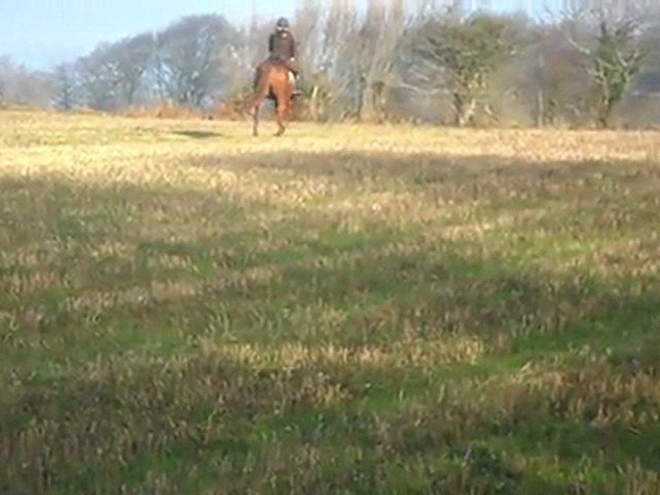 1 DEPAR O galop la 1 Fois