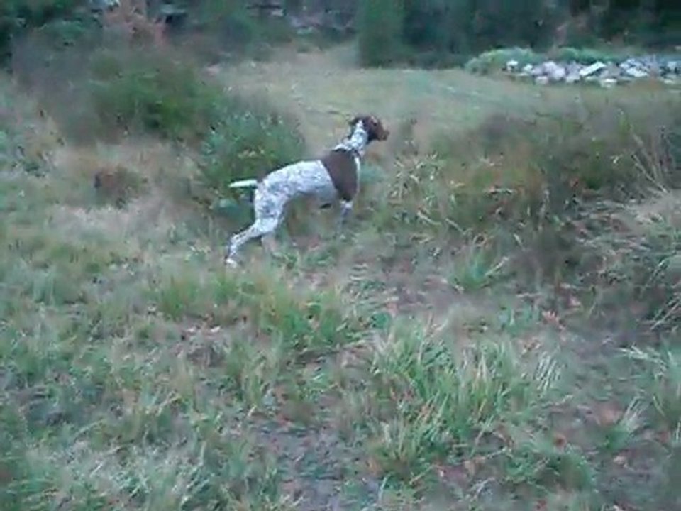 cirka aux lapins 001