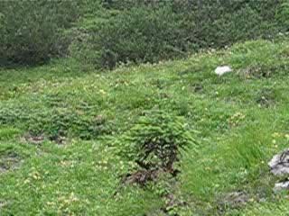 Transalp Mountainbike 2006 - Video 01