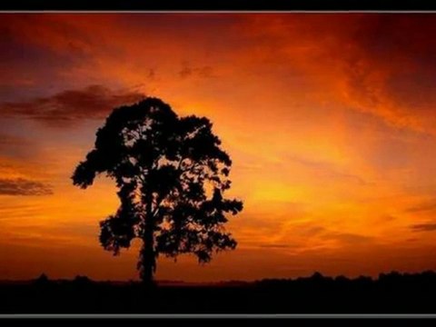 24 Hamza ve Taksim Trio Grubu Korkuyorum harbifm.com.tr