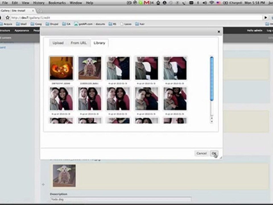 Drupal 7- Media Gallery and field demo