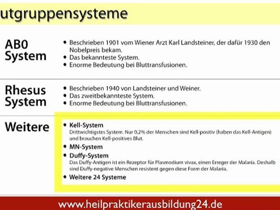 Die Blutgruppen - Teil 1