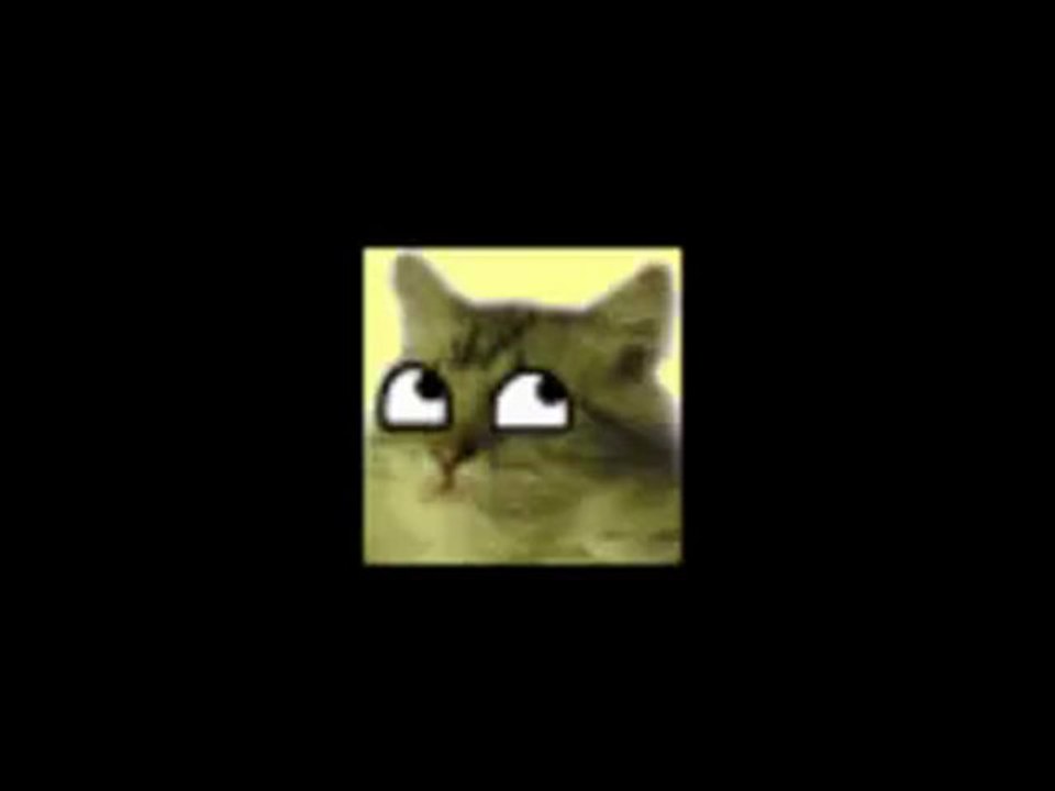 Elsanfus sur le keyboard cat