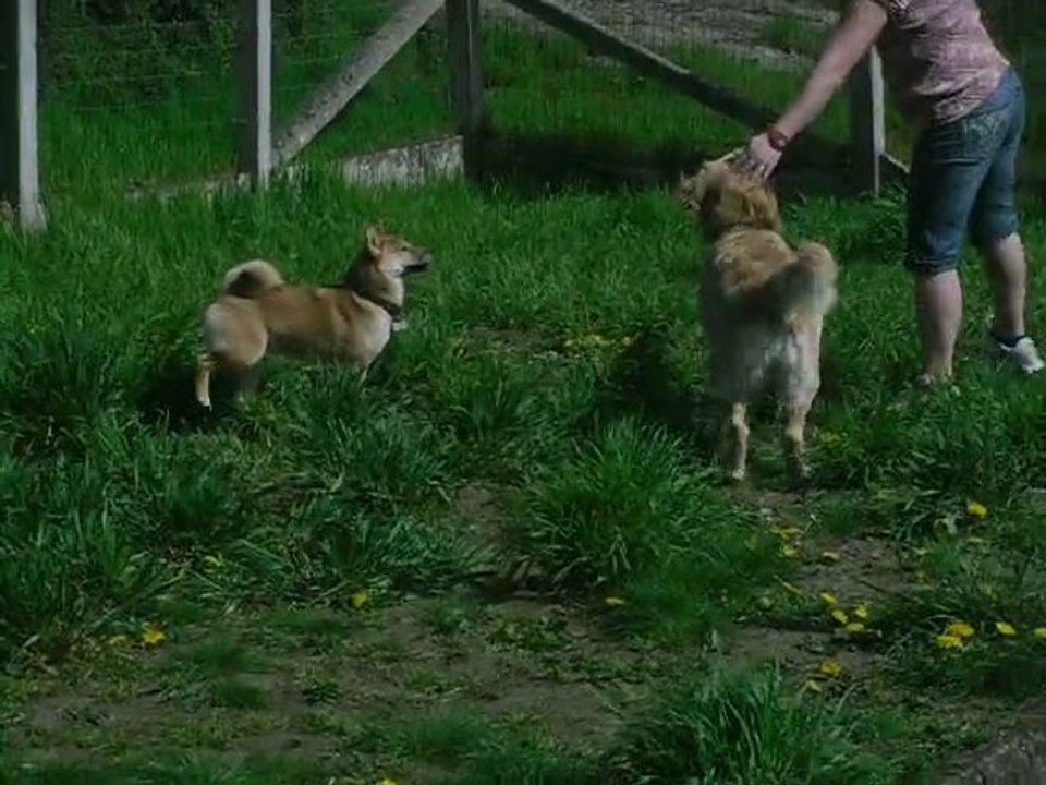 Akimi joue dans le jardin