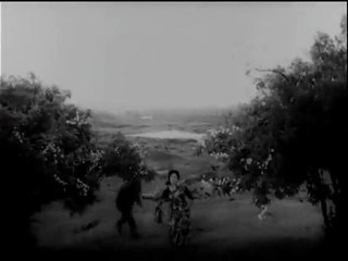 Mujhe Kitna Pyaar hai  - Dil Tera Deewana - Shammi Kapoor & Mala Sinha - Old Hindi Hit Songs