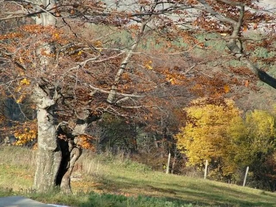 Поход,Бузлуджа-х.Ивайло,2009г.