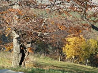Поход,Бузлуджа-х.Ивайло,2009г.