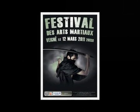 Festival Arts Martiaux Veigné