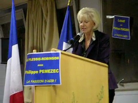 Réunion cantonale UMP-NC-PR au Plessis-Robisson (ext.5)