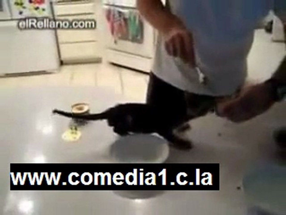 fokaha nokat comedia Sketch maroc da7k chamta juste fort rire humour nachat