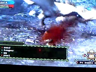 Rathian+ VS Les Noobs
