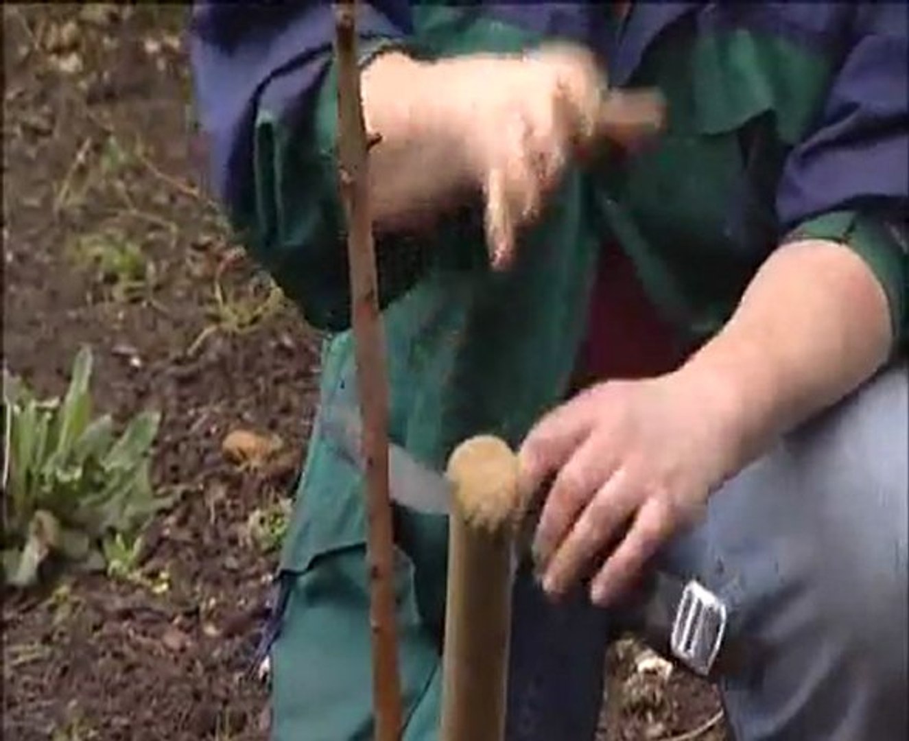 Charlie Dimmock-Tree Planting - video Dailymotion