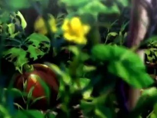 [Amv Earth Girl Arjuna] Natural energy