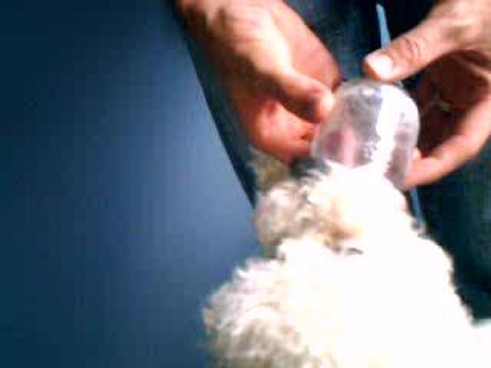 Aby mange son yaourt