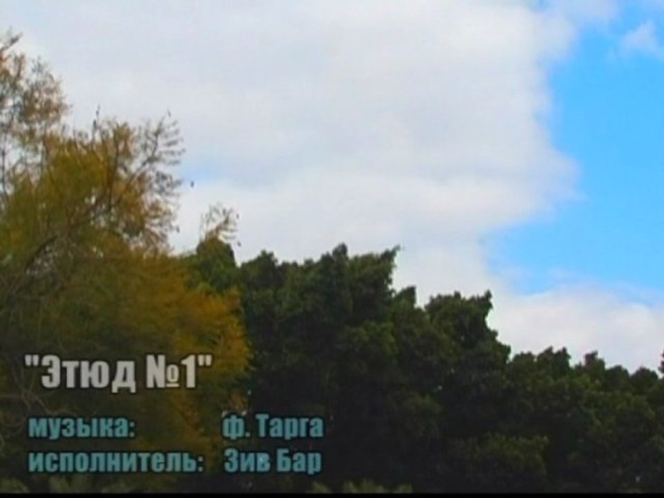 Ф. Тарга "Этюд №1"