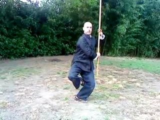 baton  de tai chi yang (franck ferriere)