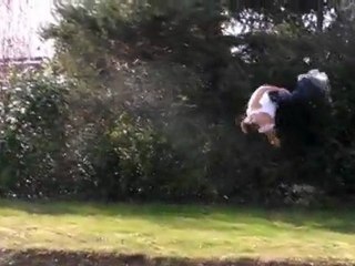 Stand up ! Parkour & Freerunning