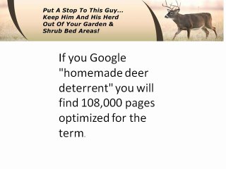 A Deer Repellent That Works Any Time It Is Tried