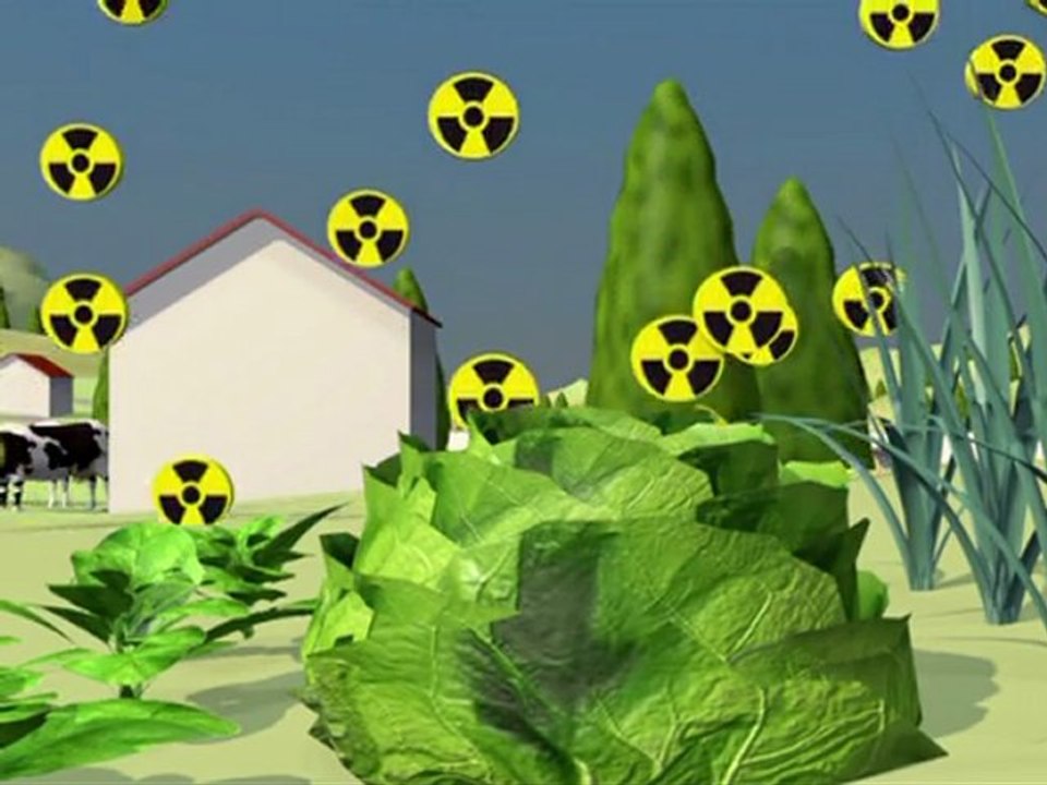 Lebensmittel-Verstrahlung: die unsichtbare Gefahr