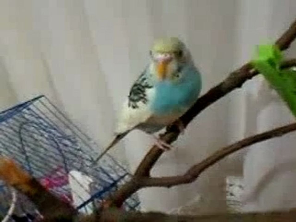 Video-0002