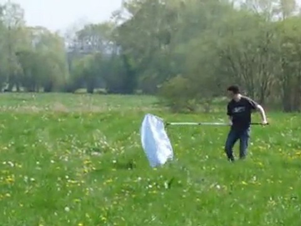 Cours, cours après les papillons!