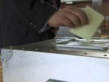 Japanese Vote in Local Elections