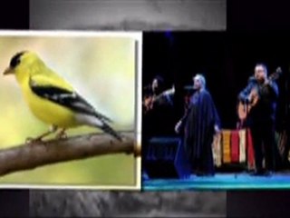 MARIA DOLORES PRADERA LA VAQUILLA